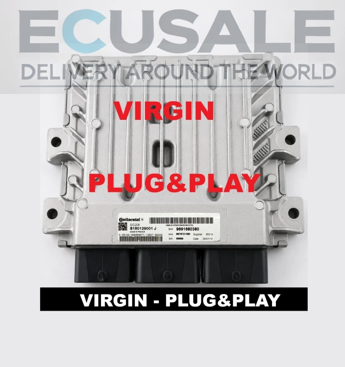 ECU S180129001J  SID208