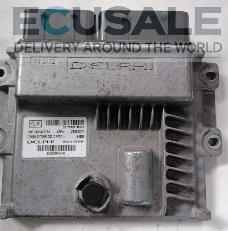 ECU  Sterownik silnika 9692365980 28555217