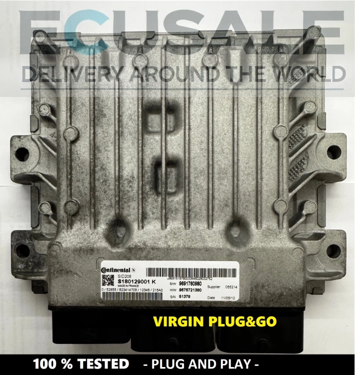 centralina del motore ECU S180129001K  SID208