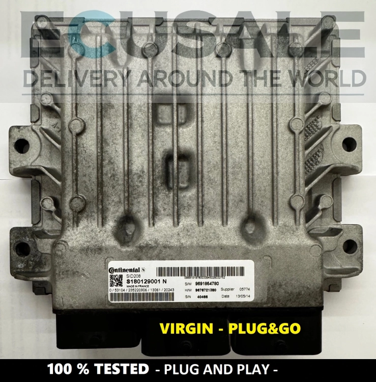 centralina del motore ECU S180129001N  SID208