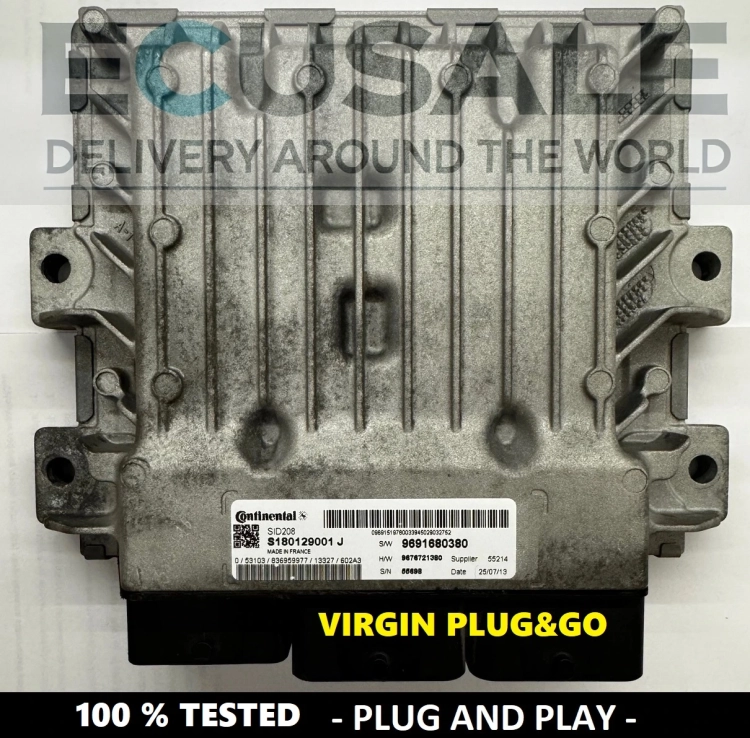 centralina del motore ECU S180129001J  SID208