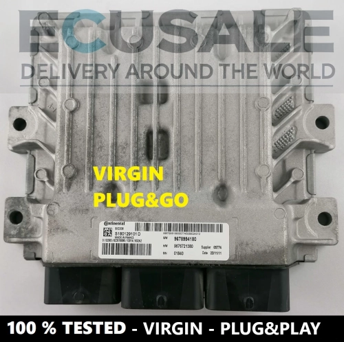 ECU S180129101D  SID208 sterownik