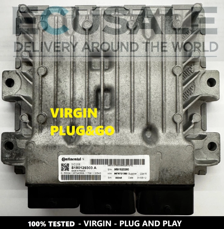 centralina del motore ecu S180129303A  sid208  9691520280