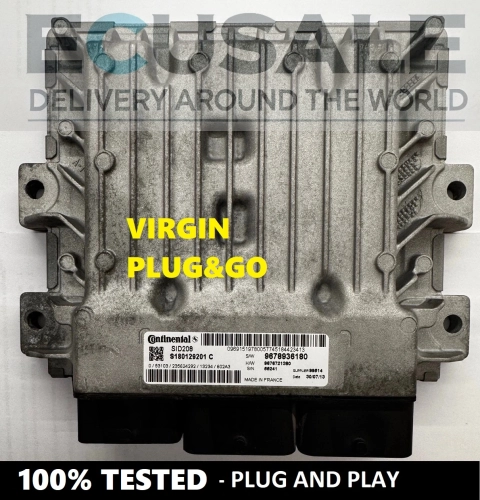 ECU S180129201C  SID208 Centralina del Motore