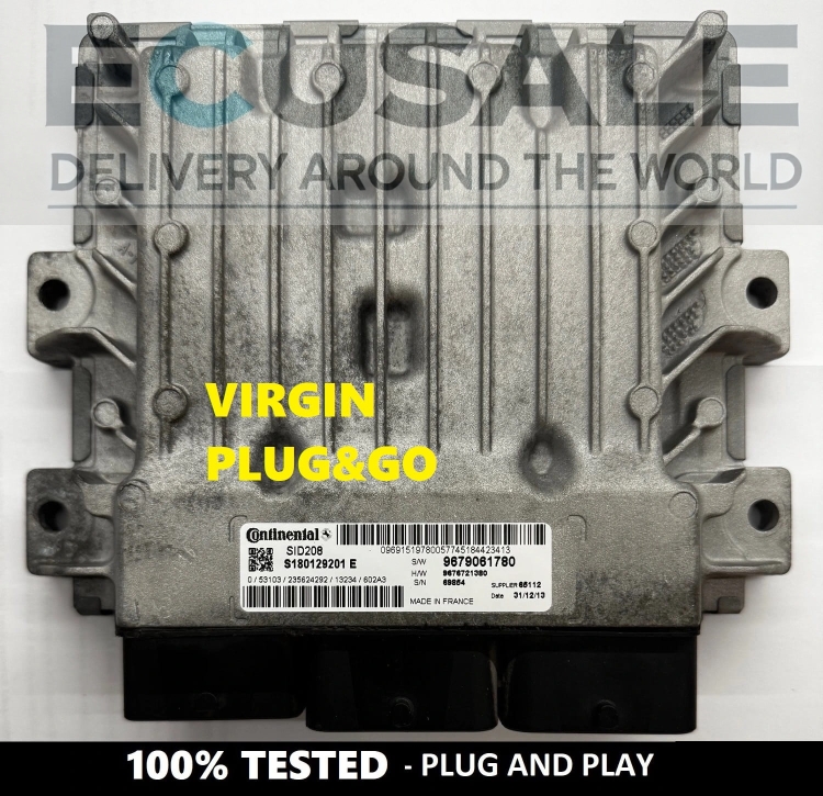 Centralina del Motore ECU S180129201E  SID208