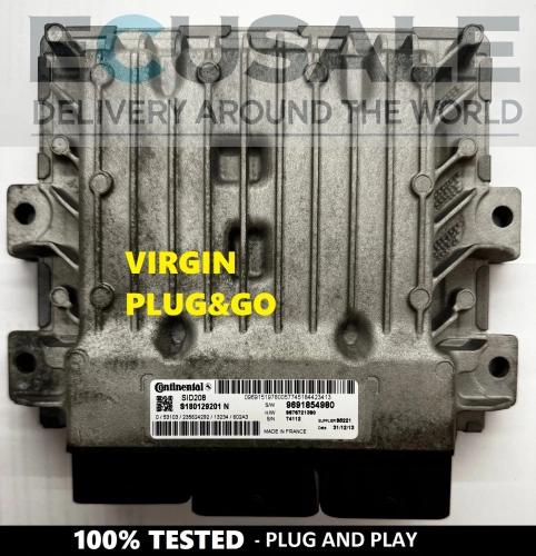 ECU S180129201N  SID208 Centralina del Motore